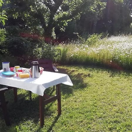 Ferienwohnung Baensch Weischlitz Bagian luar foto