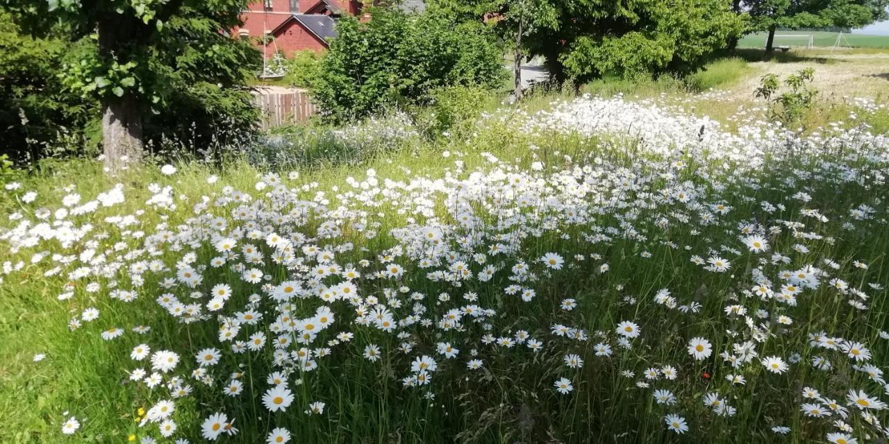 Ferienwohnung Baensch Weischlitz Bagian luar foto